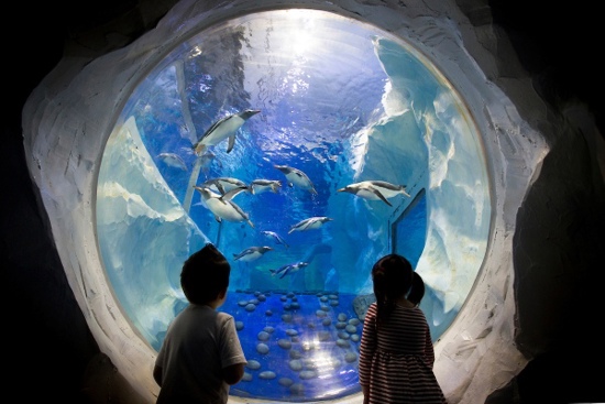 Children enjoying day out at SEA LIFE Birmingham