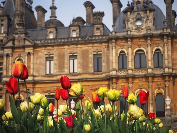 Waddesdon Manor featured image.