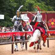Warwick Castle back